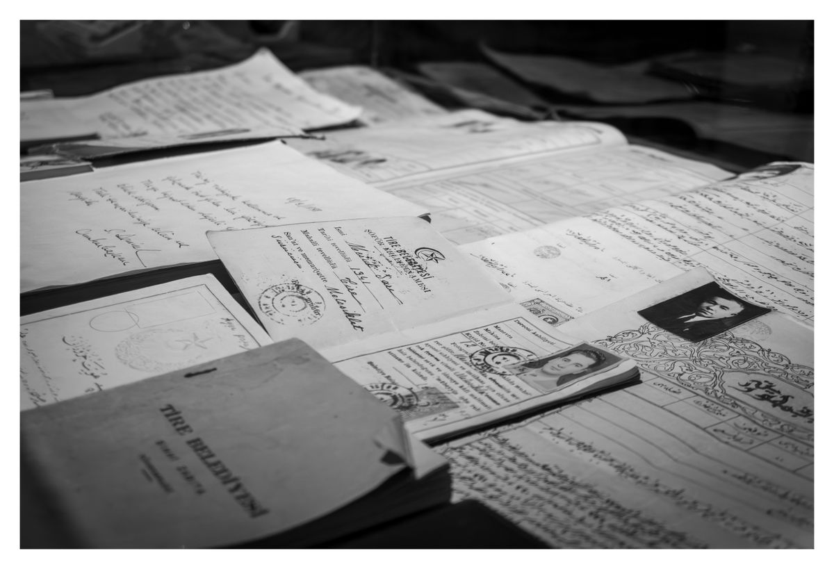 Perche I Documenti Ufficiali Richiedono Traduttori Esperti